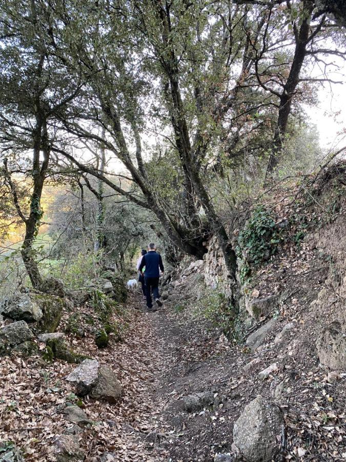 فيلا Casa Parramon Peramea المظهر الخارجي الصورة
